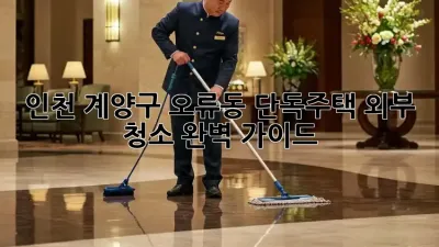인천 계양구 오류동 단독주택 외부 청소 완벽 가이드